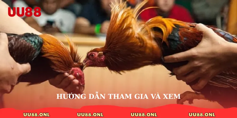 Hướng dẫn tham gia và xem